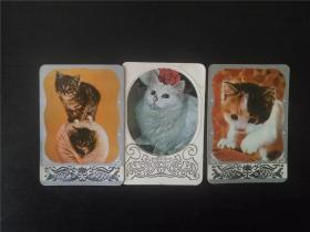 猫 80年代年历卡  3张一组