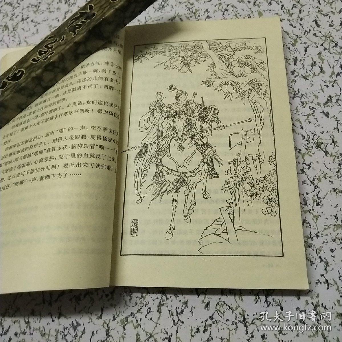 杨家将前传:火山王杨衮