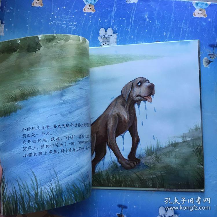 曹文轩纯美绘本·罗圈腿的小猎狗