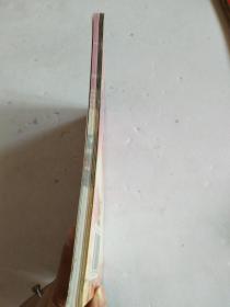 极限攻略集 风色幻想SP 封神之刻