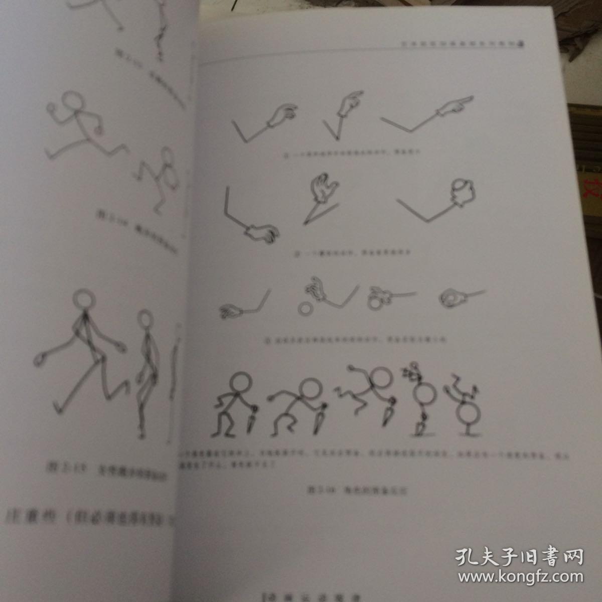 动画运动规律
