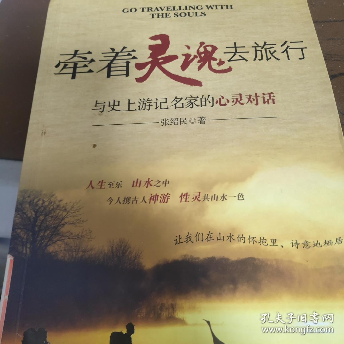 《特价》牵着灵魂去旅行:与史上游记名家的心灵对话9787515101507
