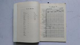 沃尔塔瓦河简谱_沃尔塔瓦河地图(4)