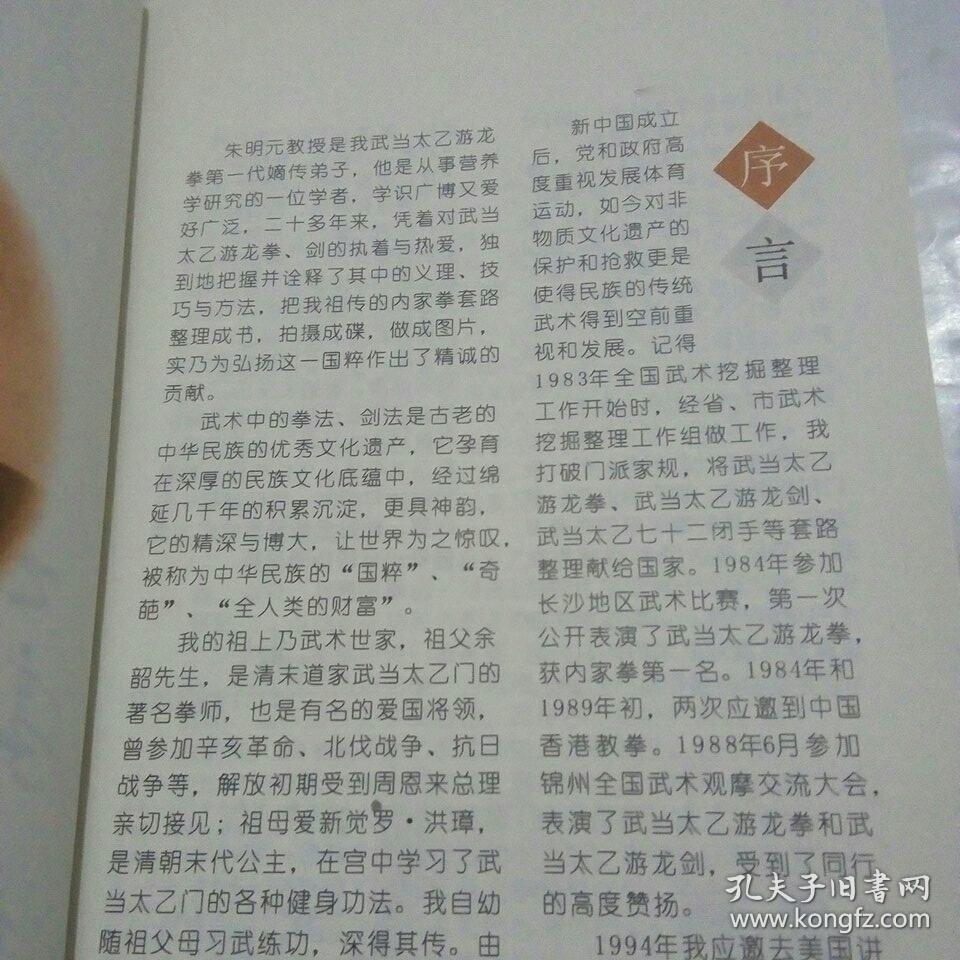 武当太乙-游龙拳
