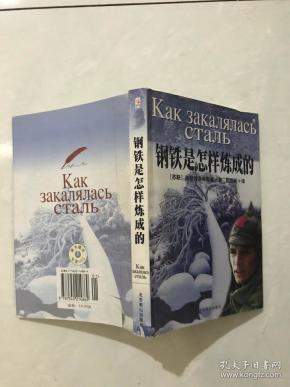 钢铁是怎样炼成的