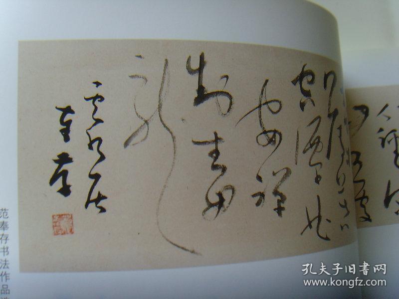 范奉存:《范奉存书法作品选》