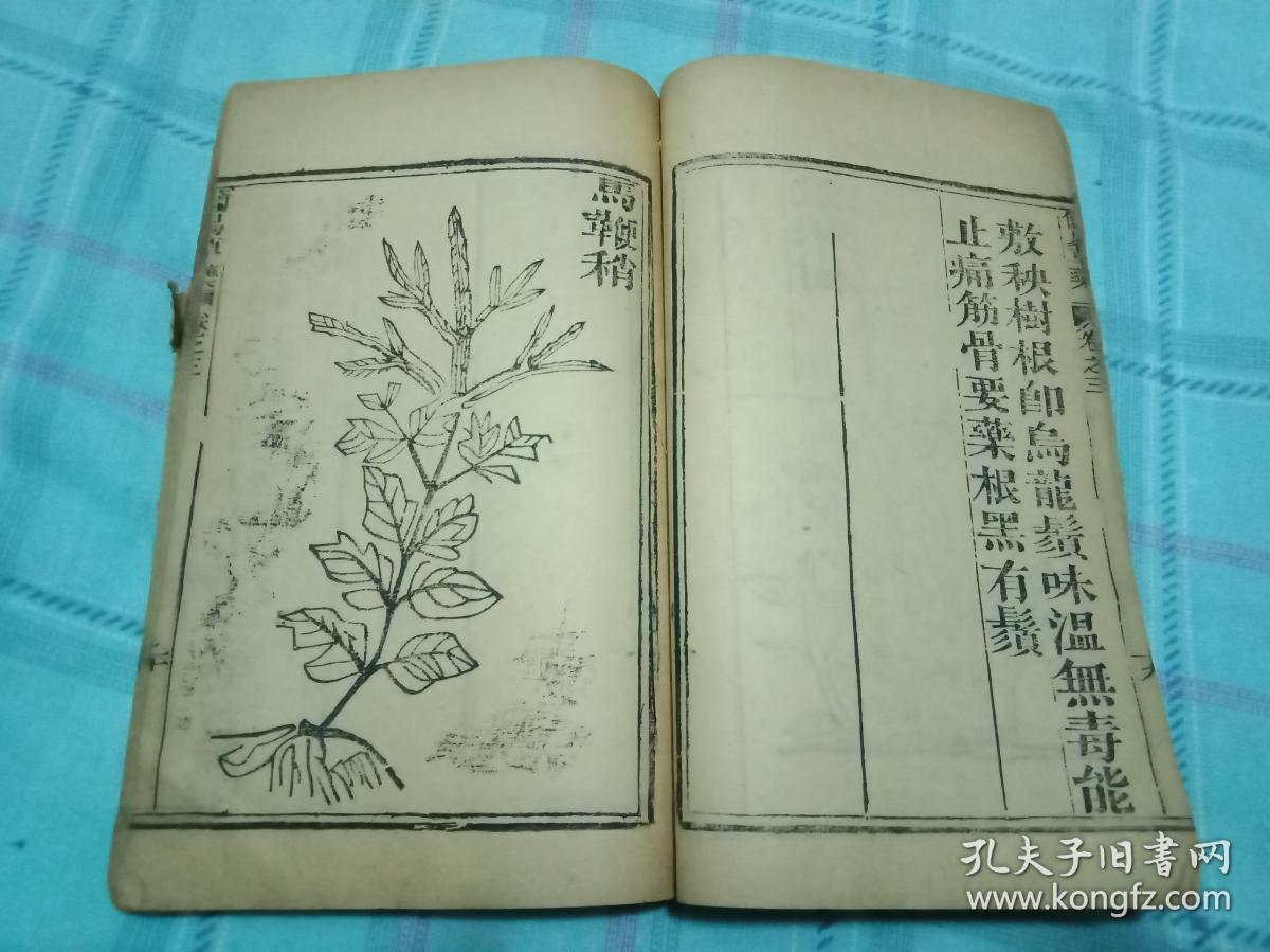 草药植物版画60幅药性,主治功效!