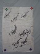 群虾图 画一张 68/47厘米