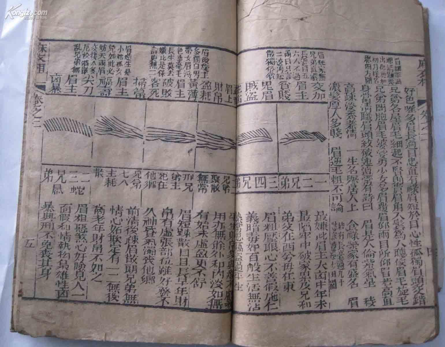 澳门集美集团董事长(3)