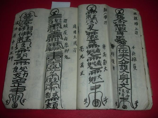 全===雪山咒---病人食符---日吞百鬼,夜吃千邪---五雷打邪,镇守房门