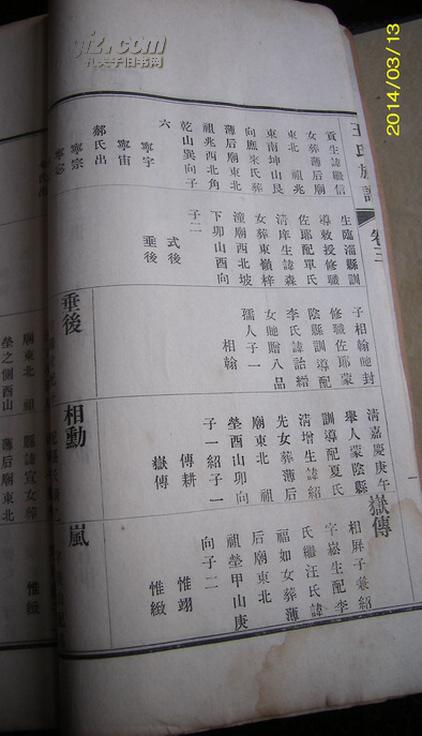 老家谱--------民国13年铅字版-----山东高密王氏图片