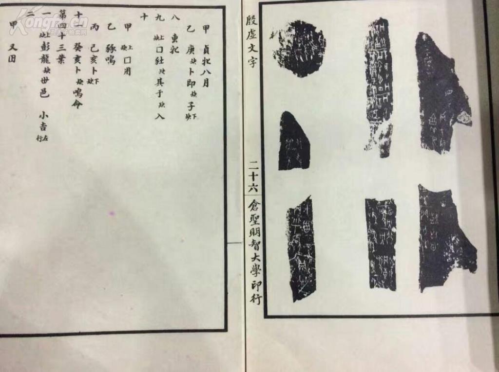 丽尔维美董事长是谁