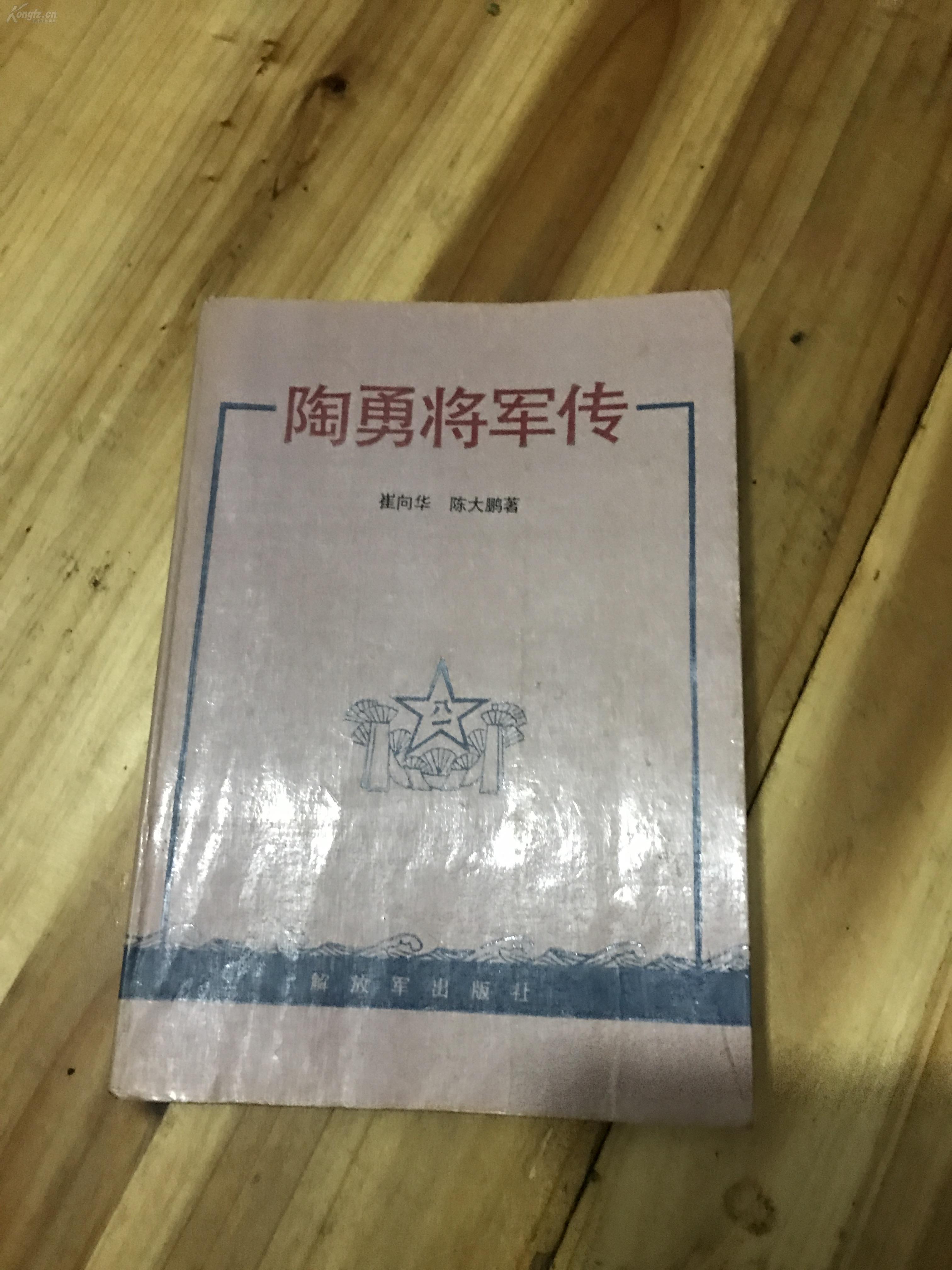 陶勇将军传