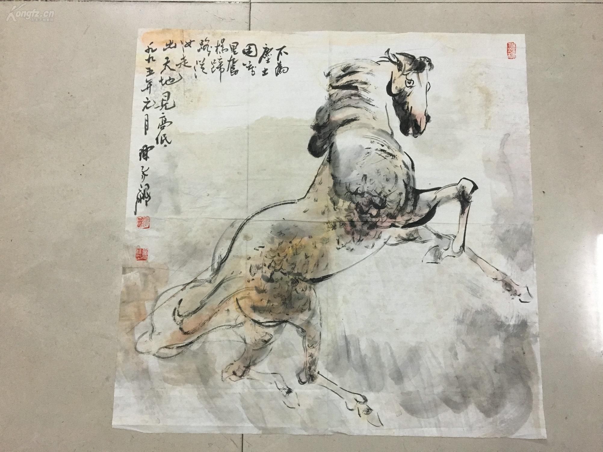 陈永锵款精品马系列二,大斗方65*65