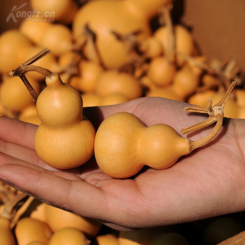 手捻文玩小葫芦5个合拍(小巧玲珑,盘玩佳品)