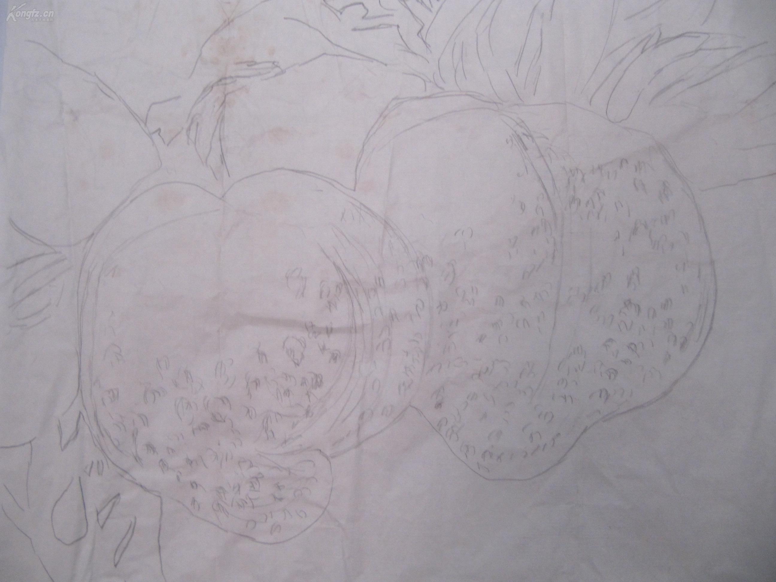 白描寿桃 国画一幅 尺寸68/68厘米