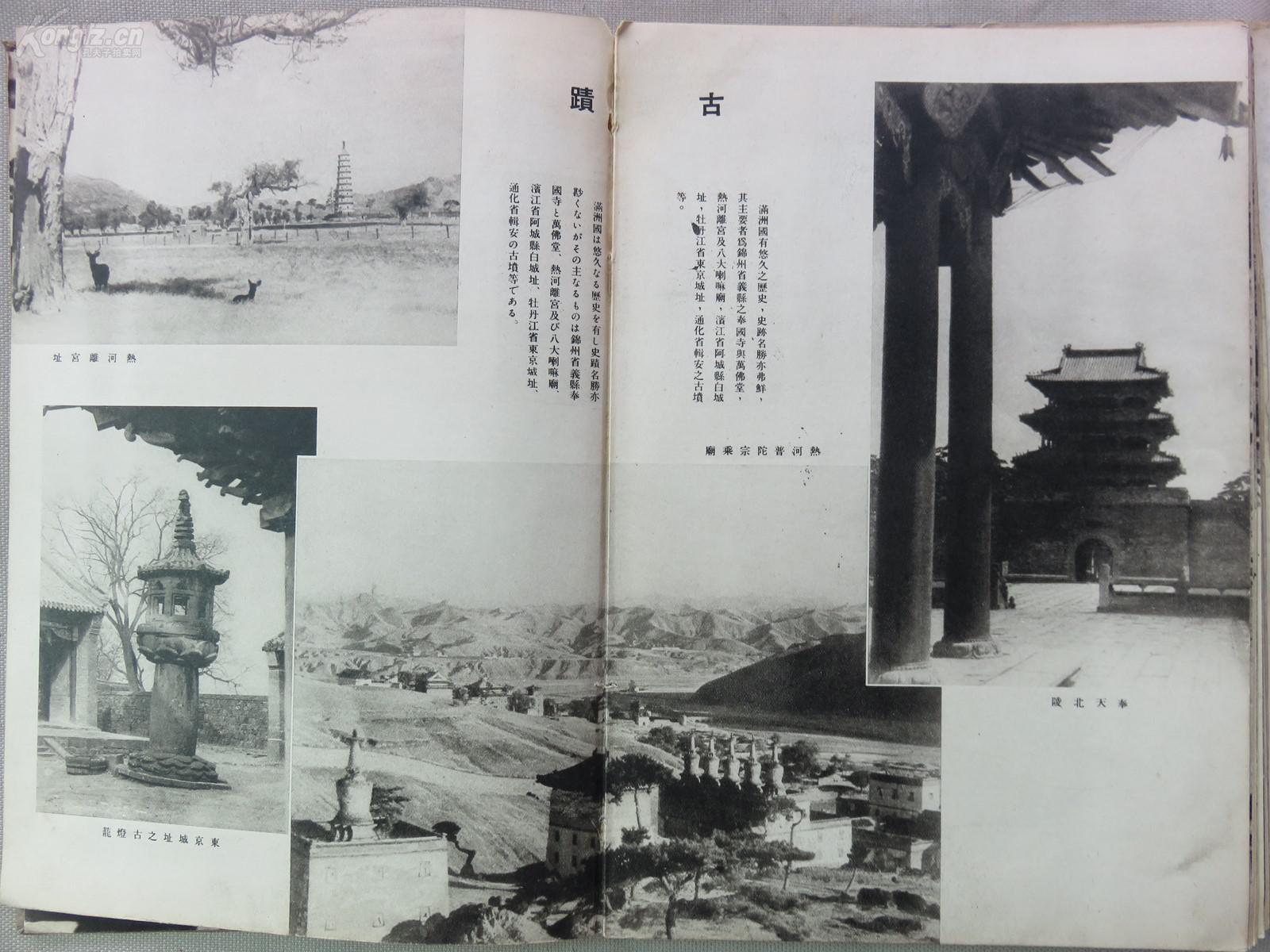 满洲帝国经济总量_满洲帝国皇上画像