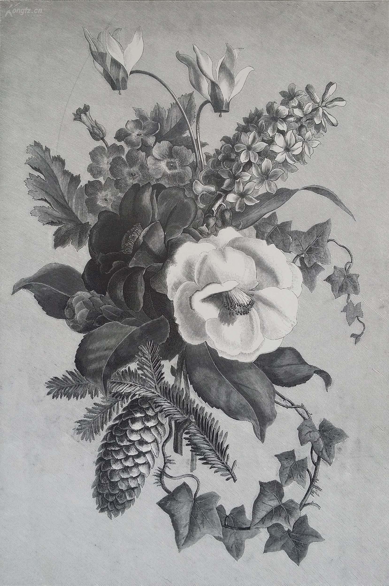 1881年木口木刻版画《冬花》 41.5×27厘米(w)