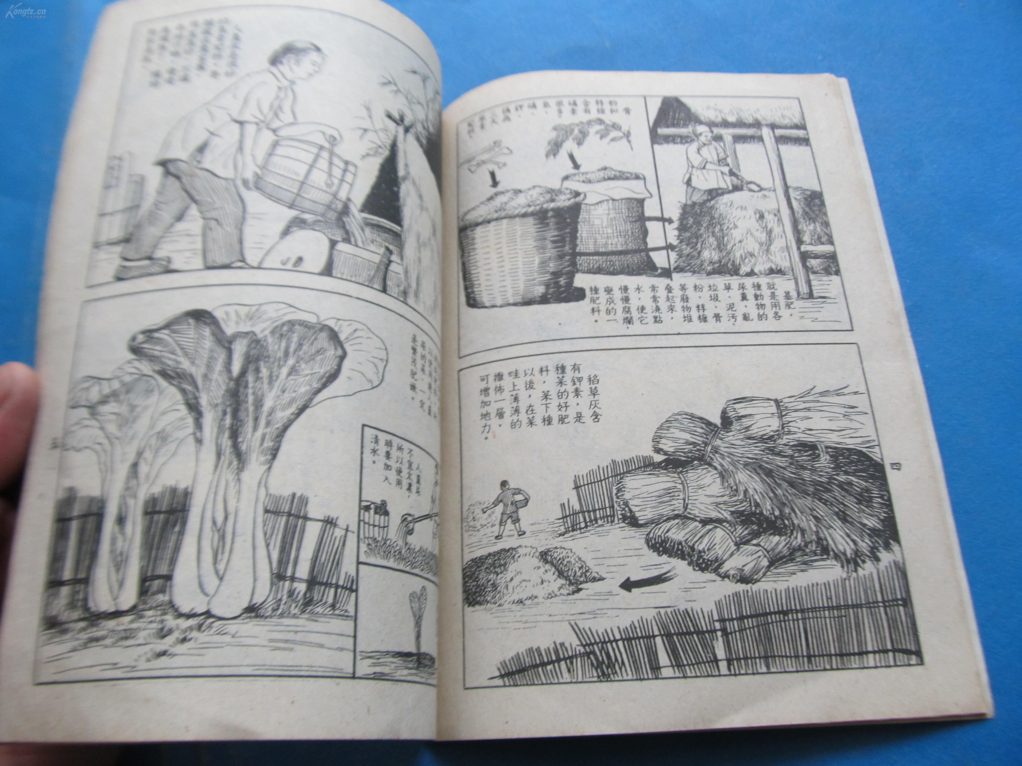 连环画《种蔬菜》1952年老版连环画 32开!北京书店芮光庭绘
