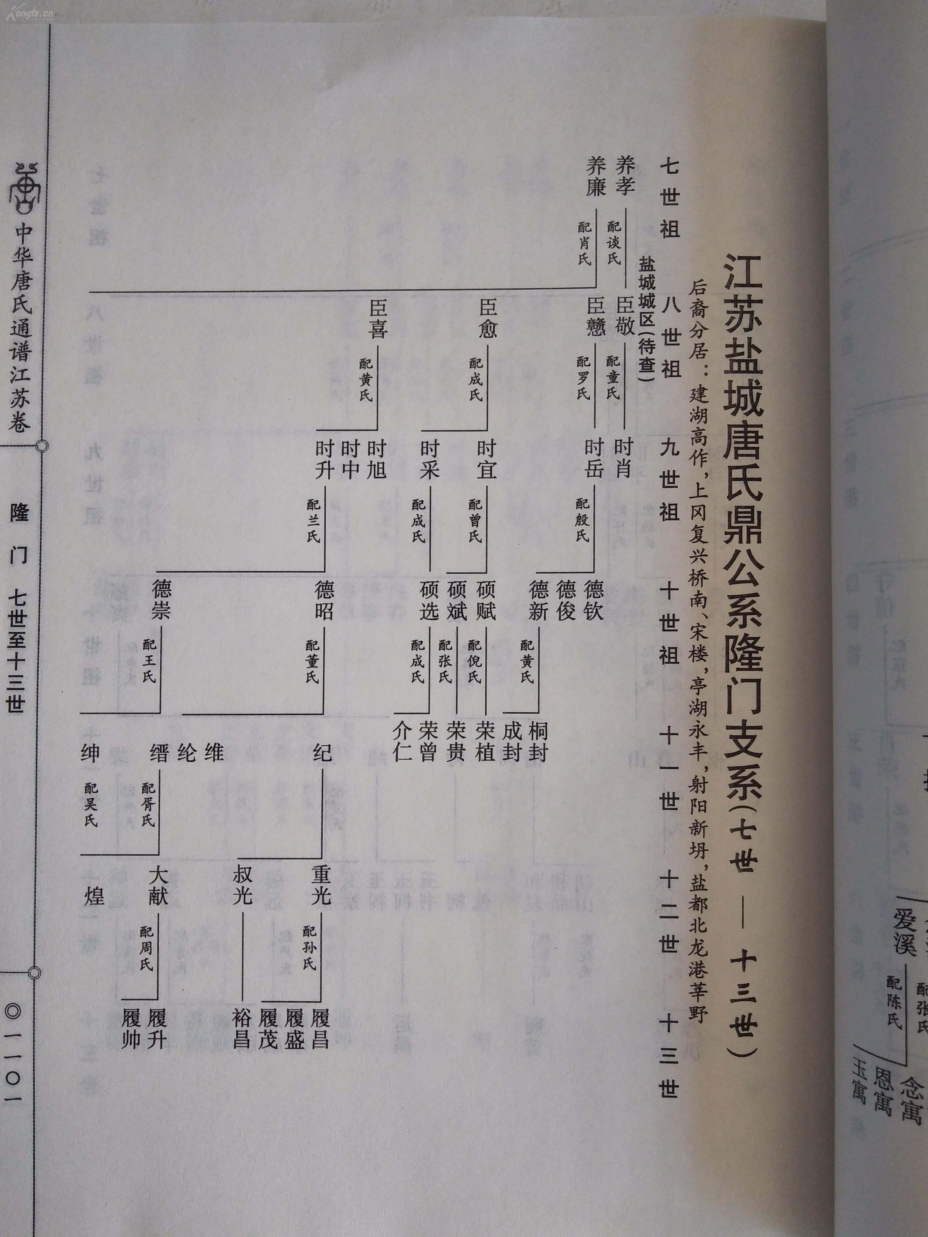 家谱-唐氏宗谱 盐城南通 鼎公(寿卿)支(中华唐氏通谱 江苏卷 缺