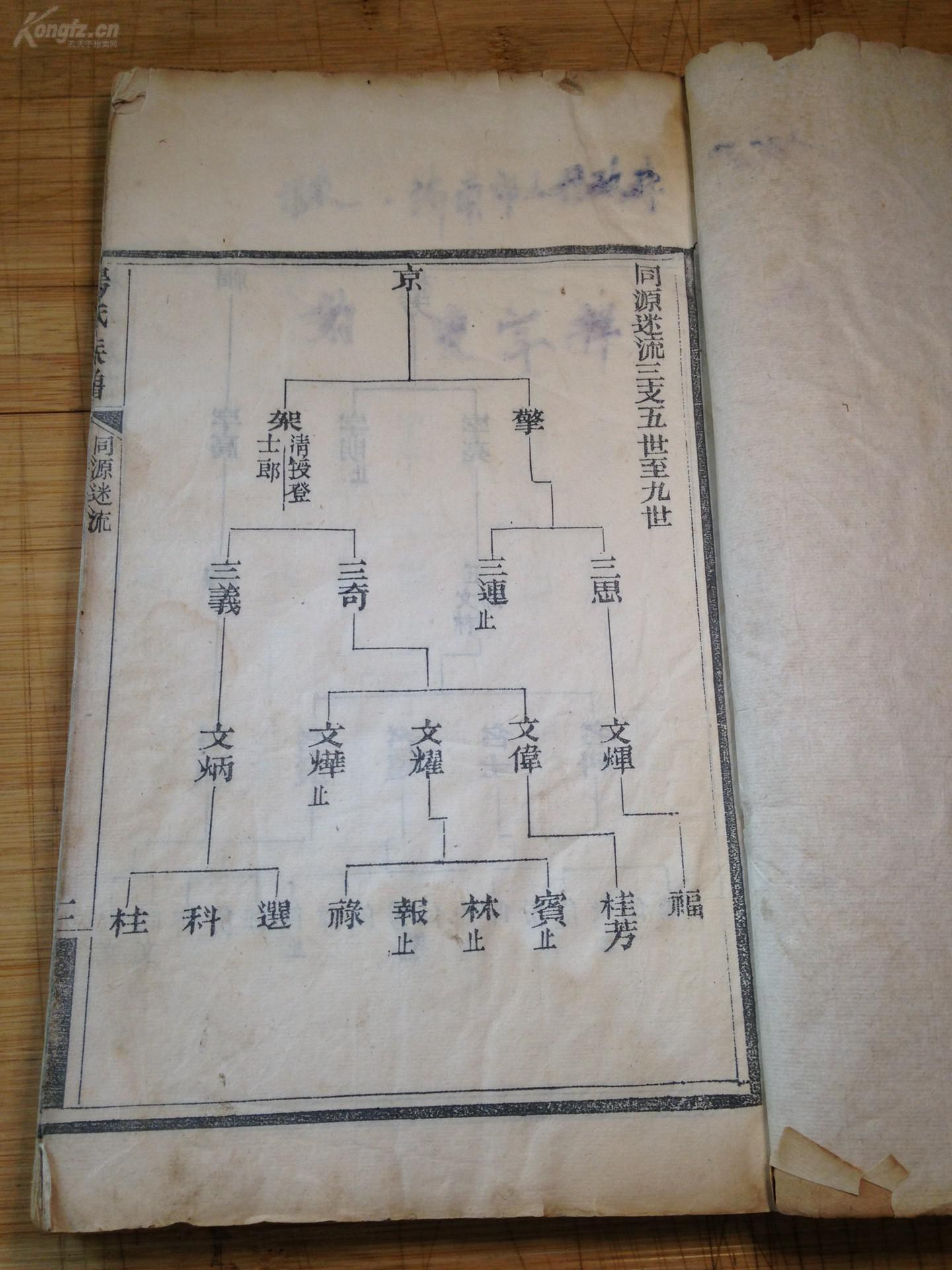 清刻白纸 大开本 《杨氏族谱》存原装一册 山东地区 末有杨维询做跋文