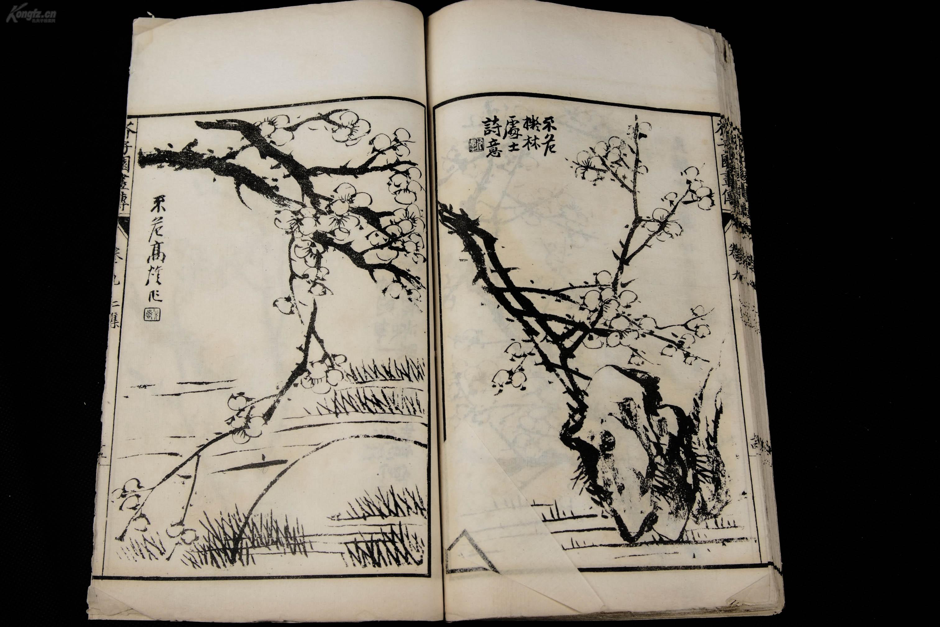 清末民国白纸大开本【芥子园画传-青在堂菊谱上,下】原装一厚册全.