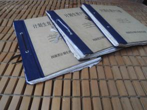 马尔萨斯人口论论文_当人口大国不再年轻 马尔萨斯与中国人口政策(2)