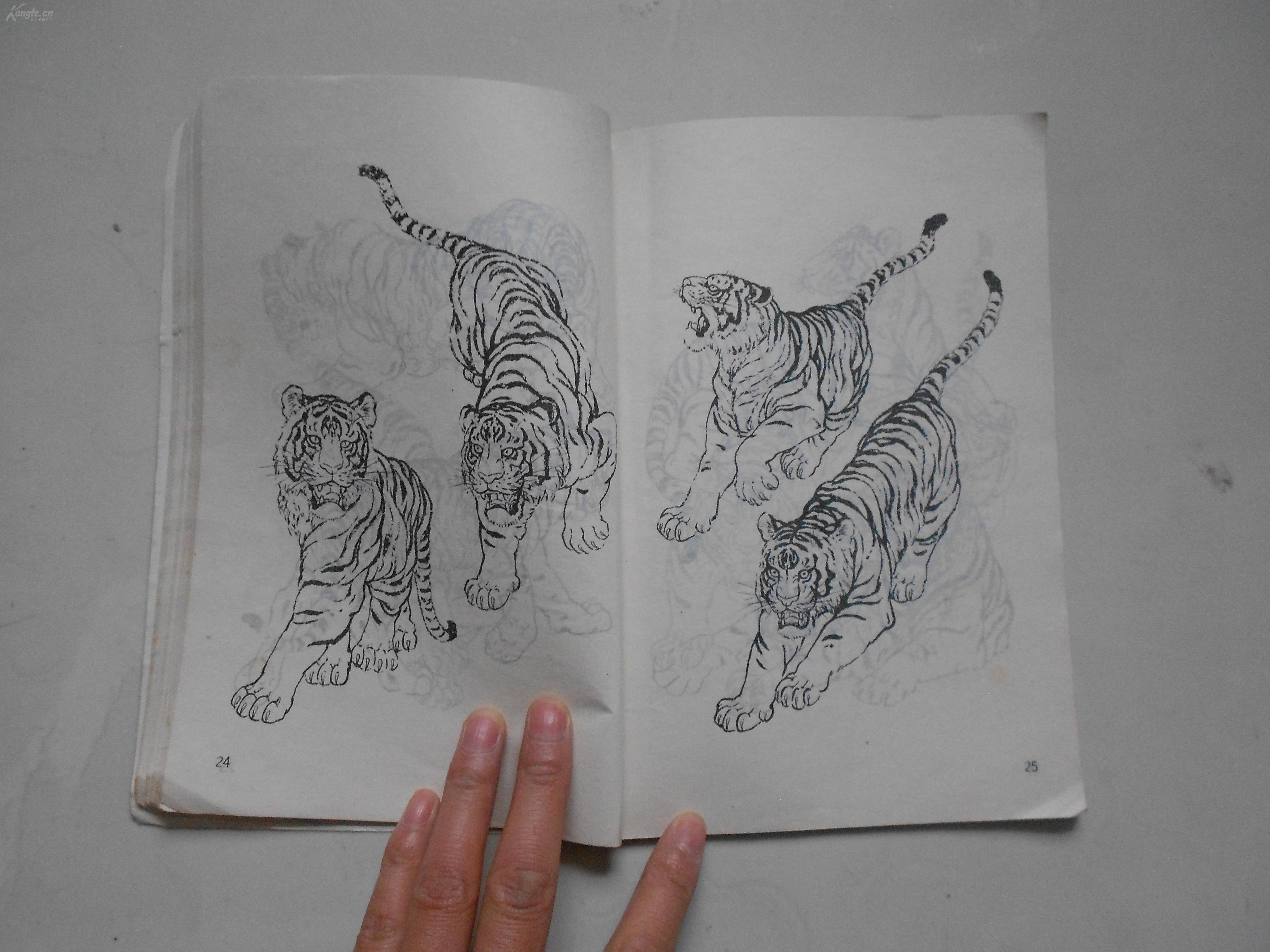 大世界画库 画虎技法资料