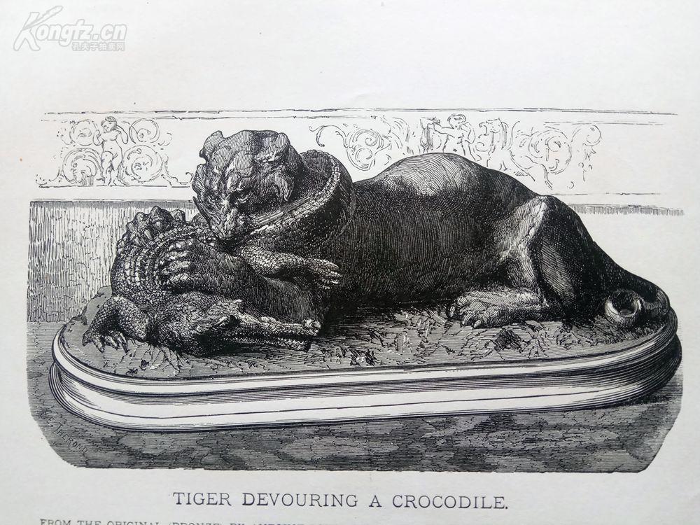 1883年木刻版画《老虎吞食鳄鱼》(tiger devouring a