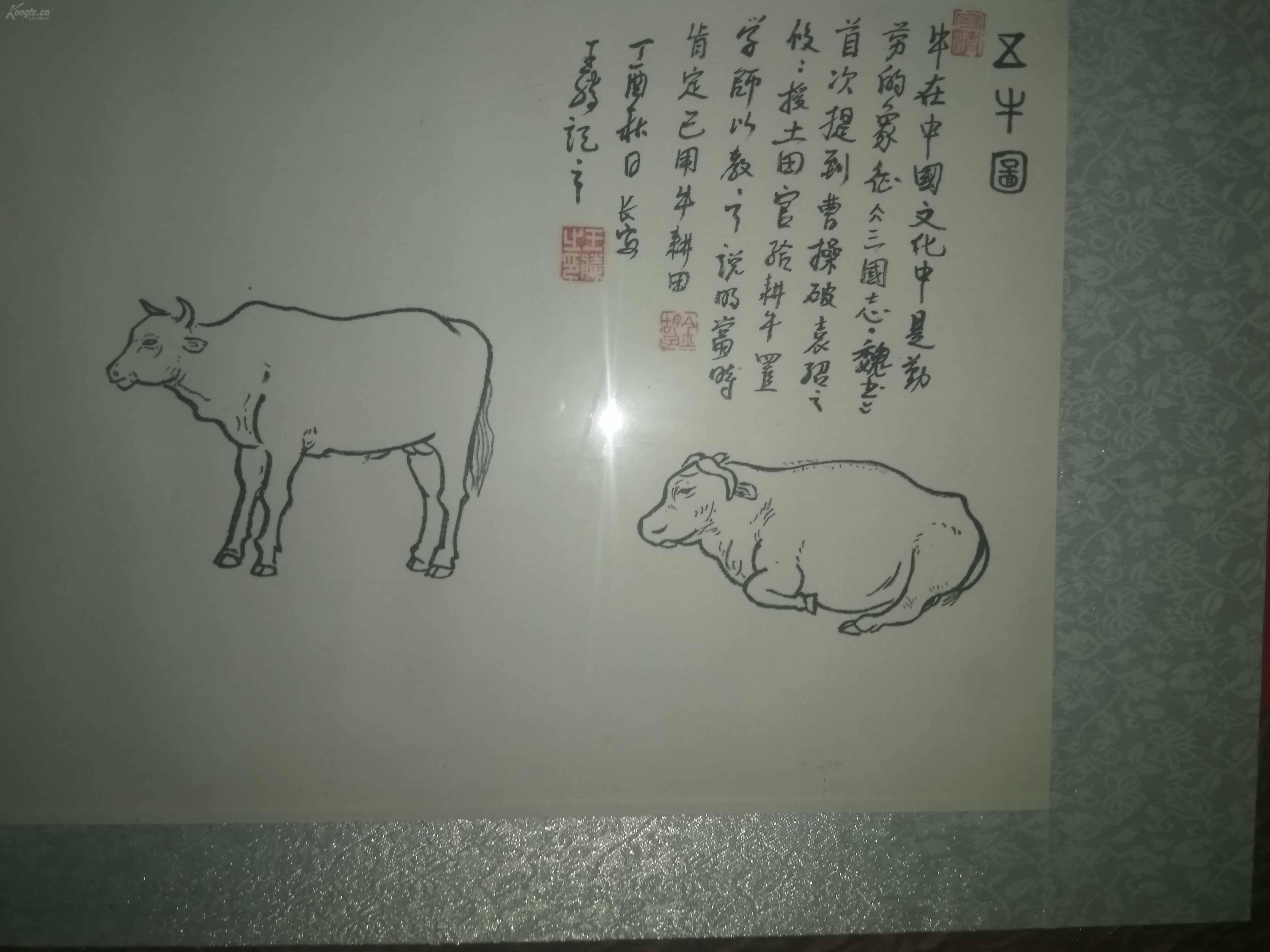 低拍惠友陕西名家王腾老师白描精品五牛图