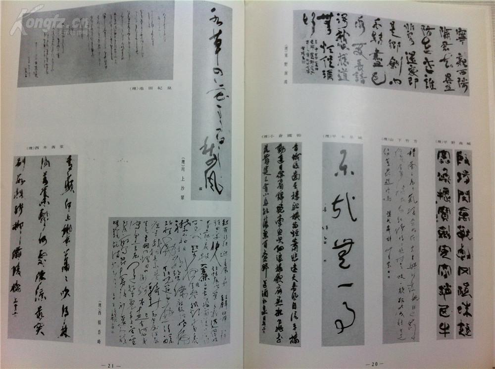 青野什么成语_什么是青驰菊(2)