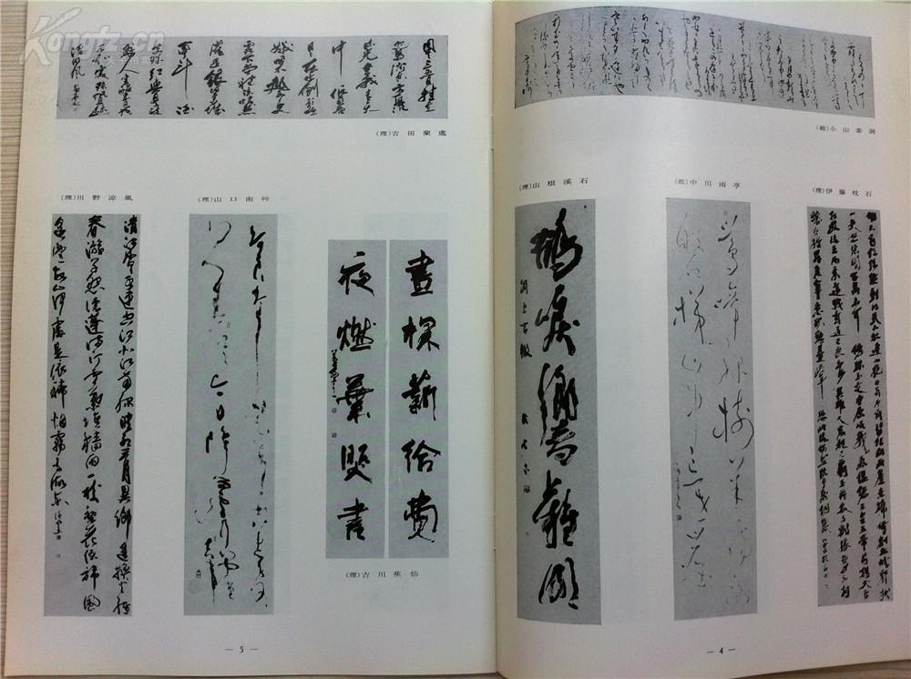 青杉什么成语_什么是青驰菊(3)