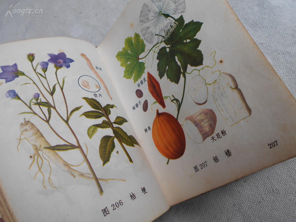 文革时期出版中医药精品《常用中草药图谱》(附中草药彩图228页)本书