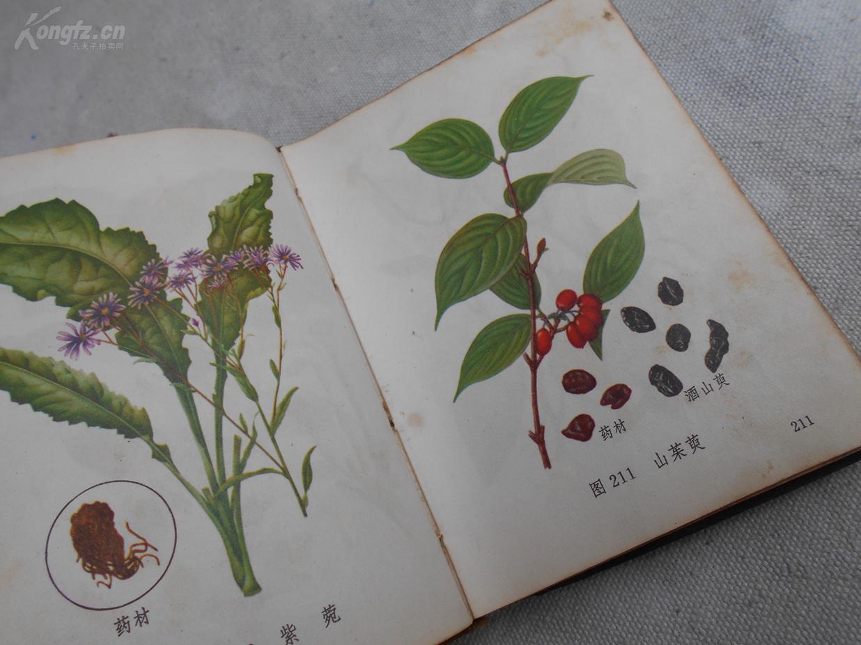 1970年由人民卫中药图片大全带药名药物图谱中药材图片大全彩图中医