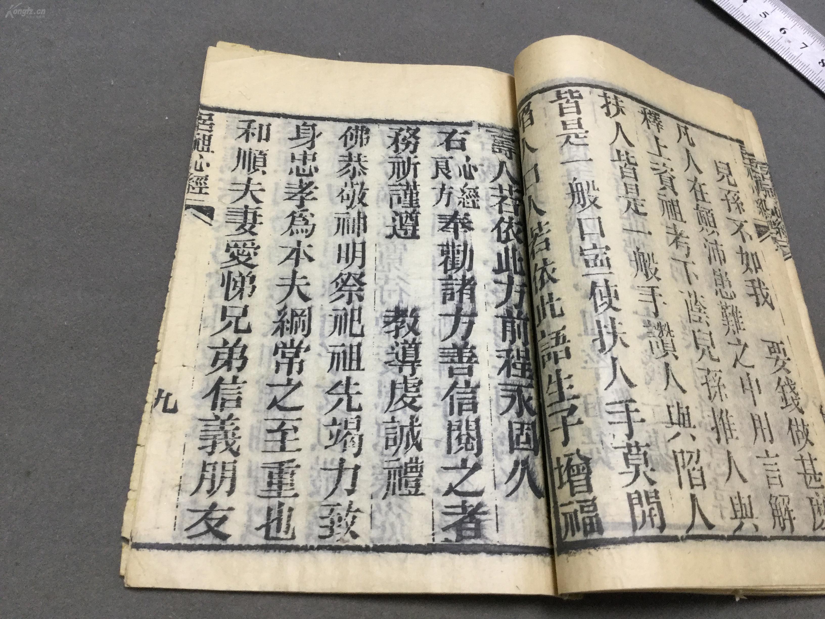 广东袁氏有多少人口_广东骆氏人口分布图(2)