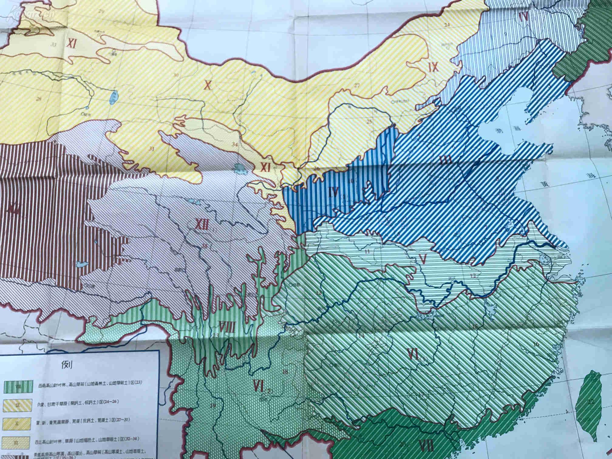 《中国植被土壤分区挂图》地图出版社 一版一印 尺幅巨大 :150* 107cm