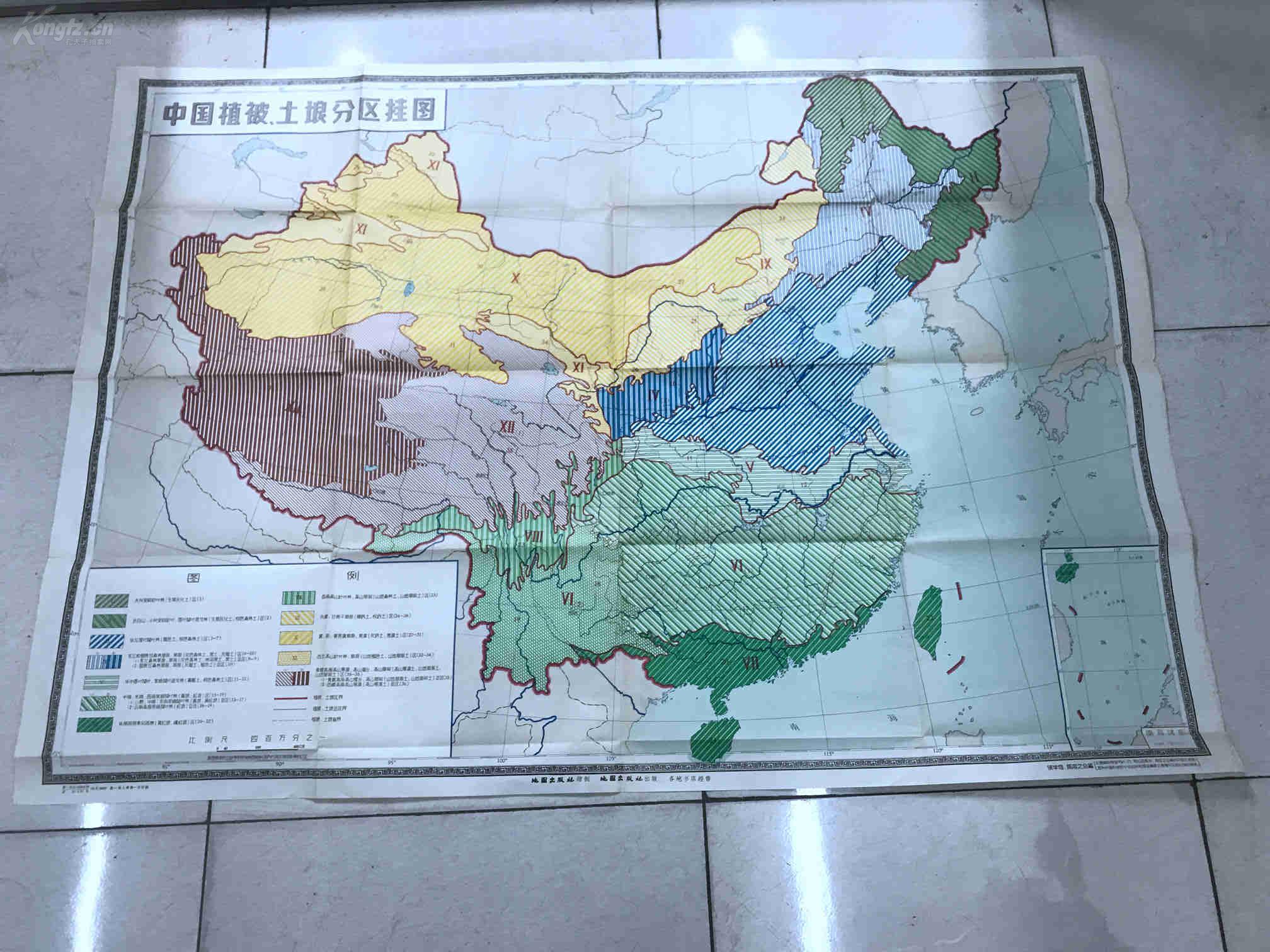 《中国植被土壤分区挂图》地图出版社 一版一印 尺幅巨大 :150* 107cm