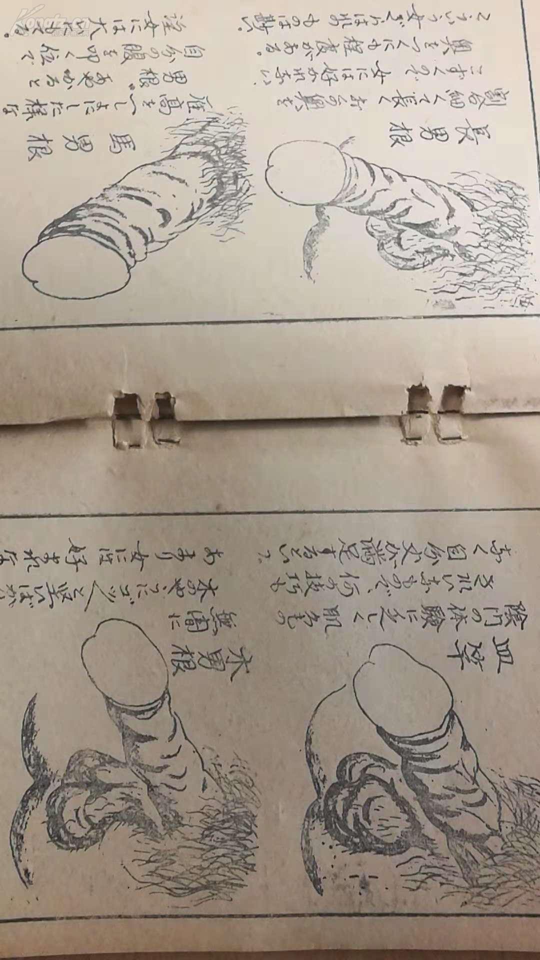 《鸳鸯闺房秘考》一册全 性戏四十八手里表绘解说 附男女性器相图解说