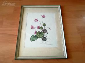 老的水彩画《植物图谱》--签名--原木画框---42.5*32.5厘米