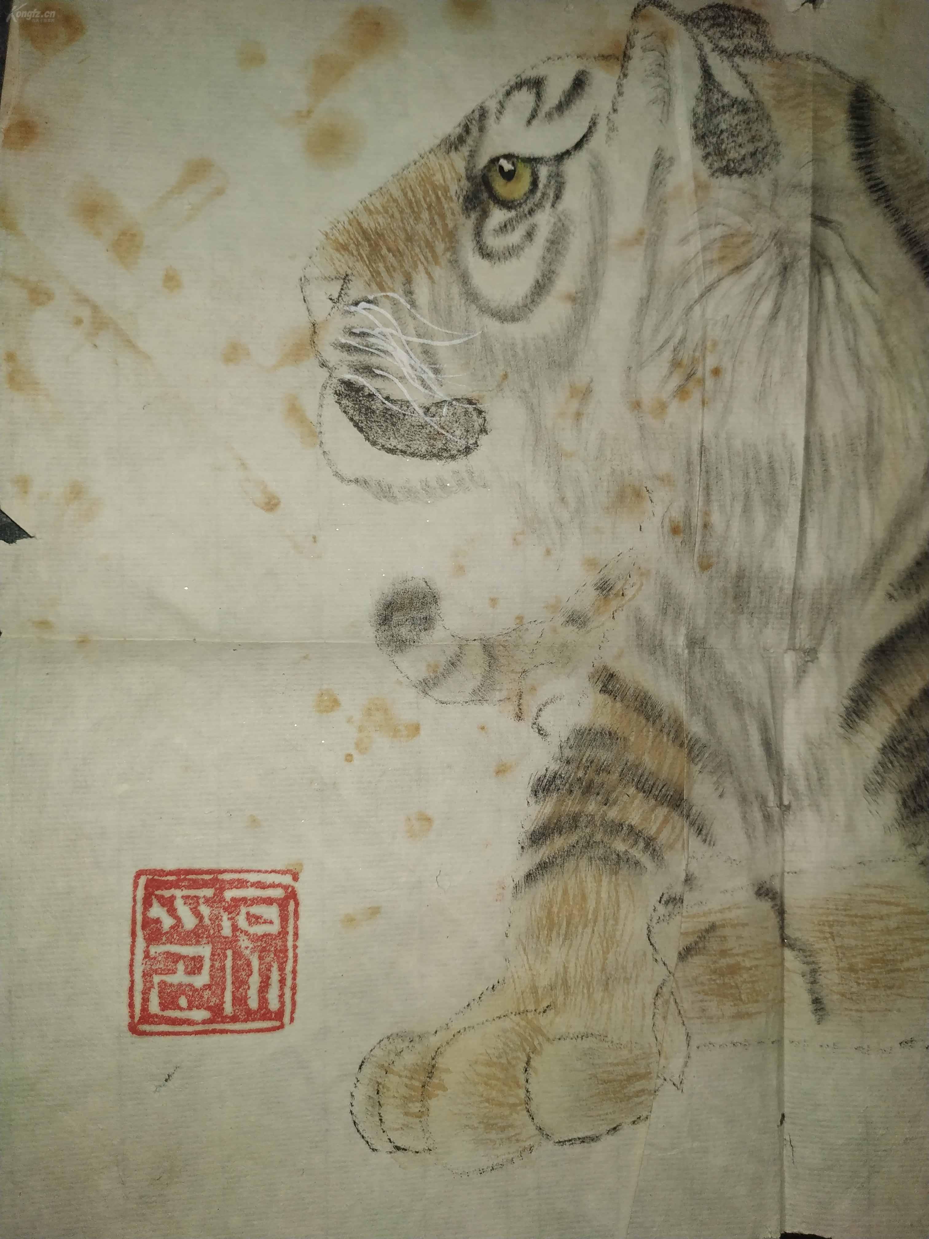 陕西画虎名家石川早期小品《虎》