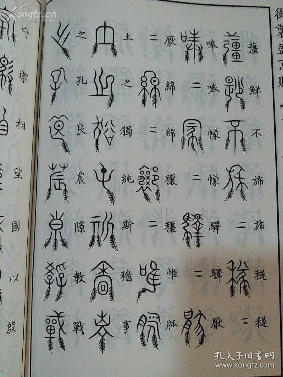 柳叶篆,剪刀篆,鸟迹篆,龙瓜篆,垂云篆,垂露篆……各种篆书合集,令人叹