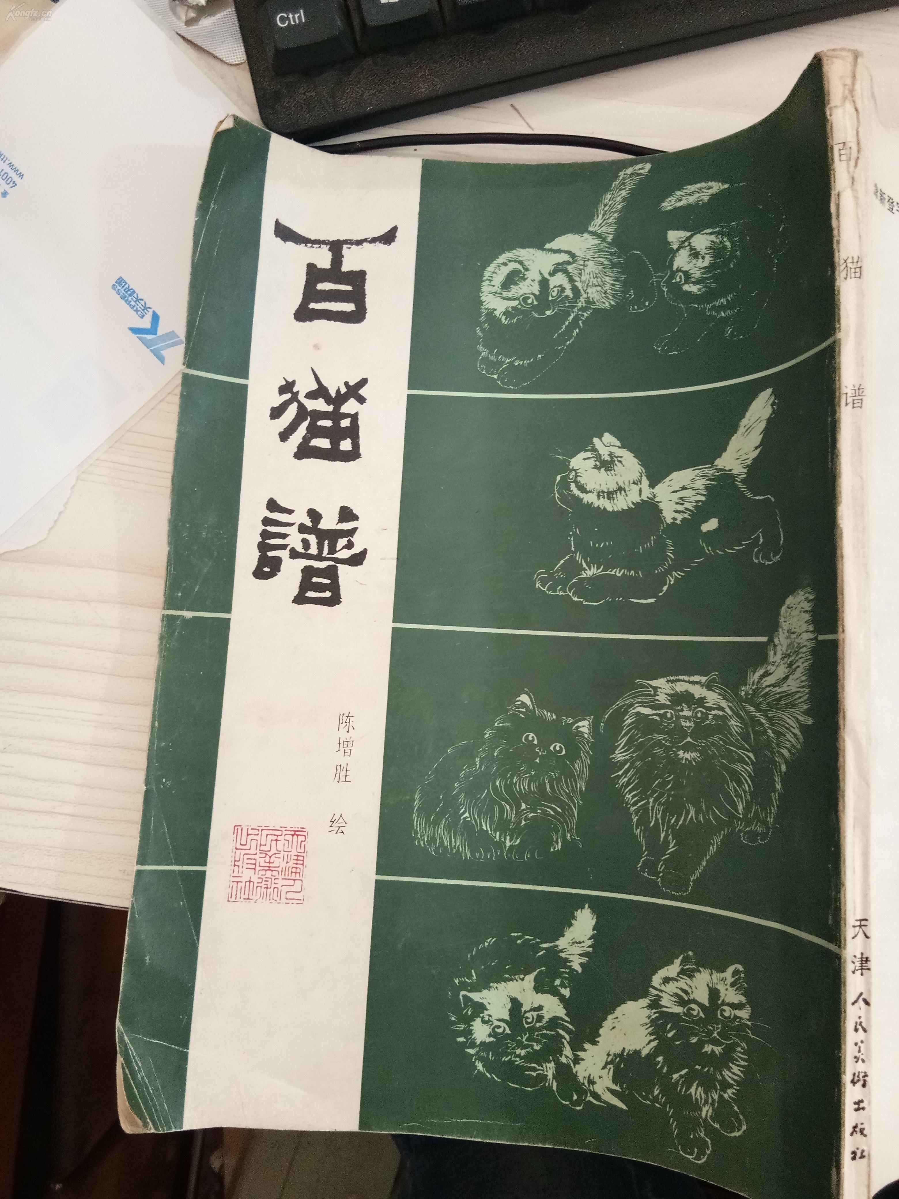 百猫谱