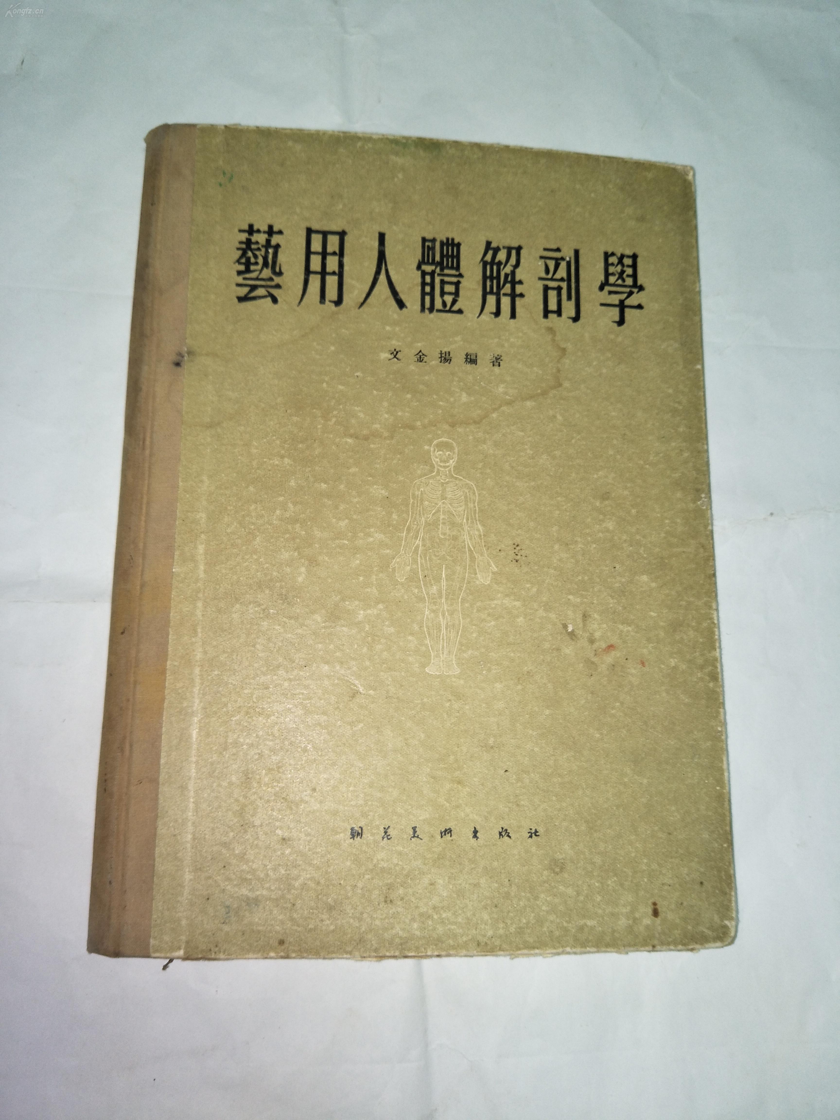 艺用人体解剖学(1956)