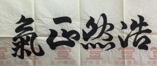 袁少海(艺术家,京剧大师袁世海之子)毛笔书法"浩然正气"一幅(49*99cm