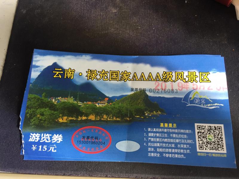 使用过,仅供收藏之用《云南禄充风景区门票》1张