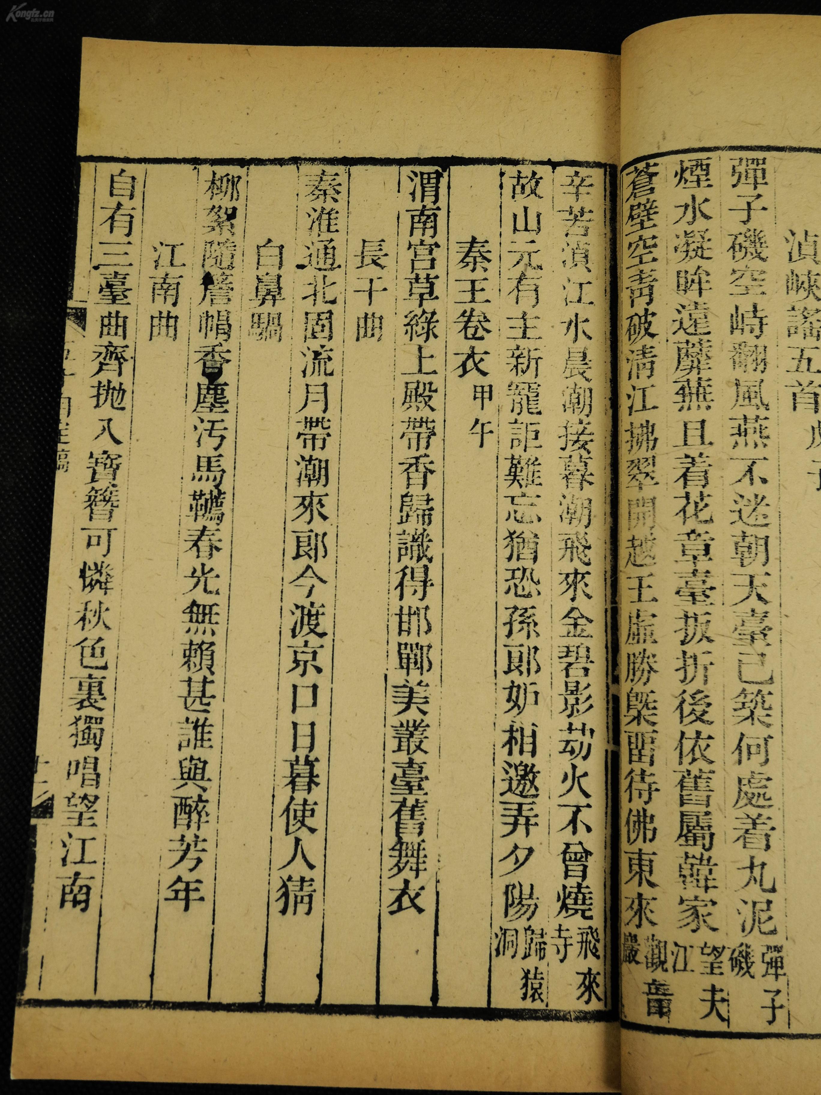 人口学家二马