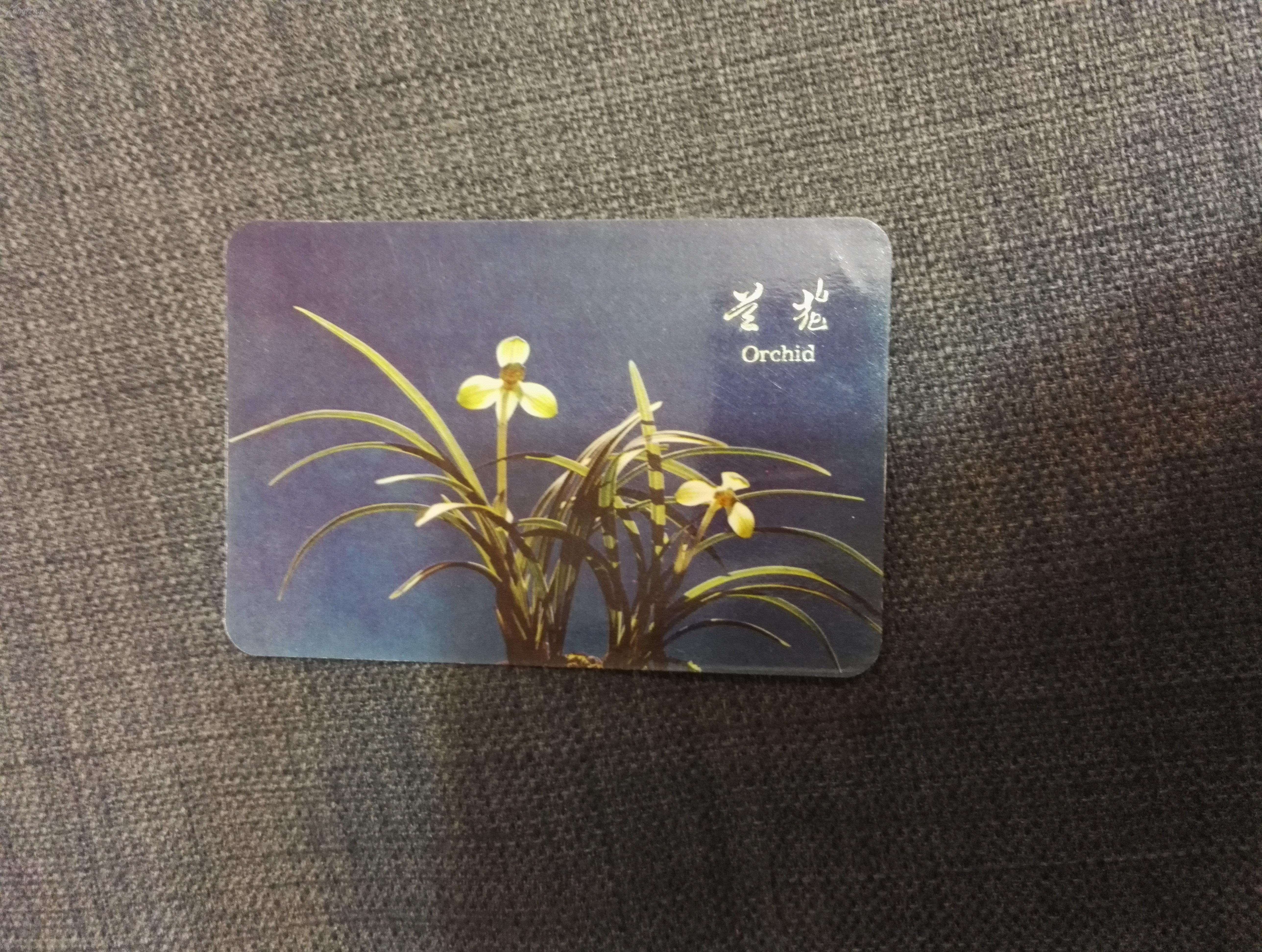 1974年 兰花 年历卡片