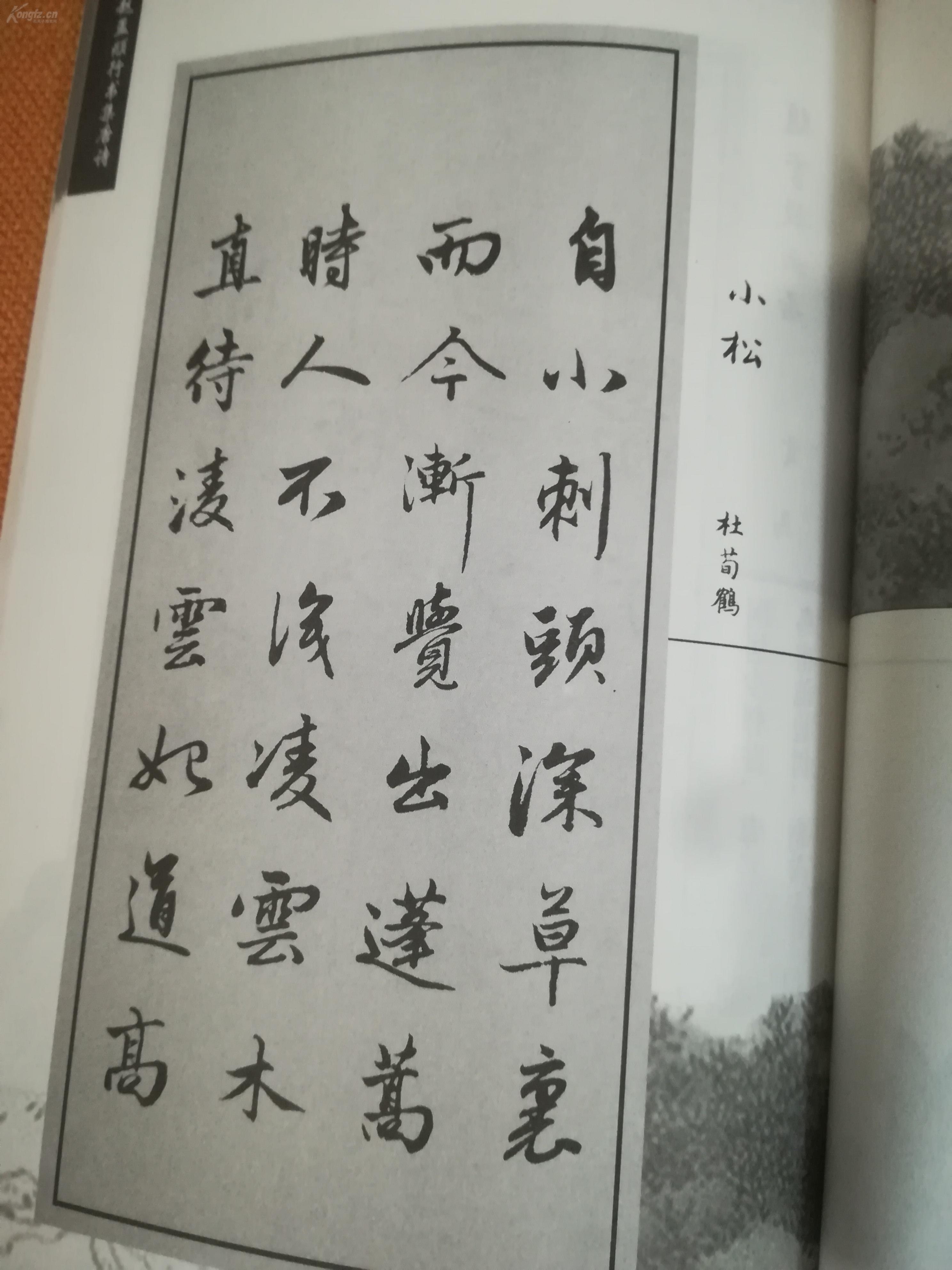 赵孟頫行书集唐诗