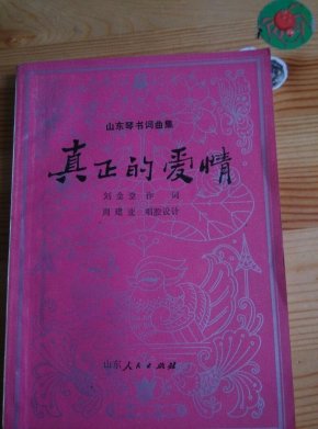 山东琴书的简谱_儿歌简谱(2)