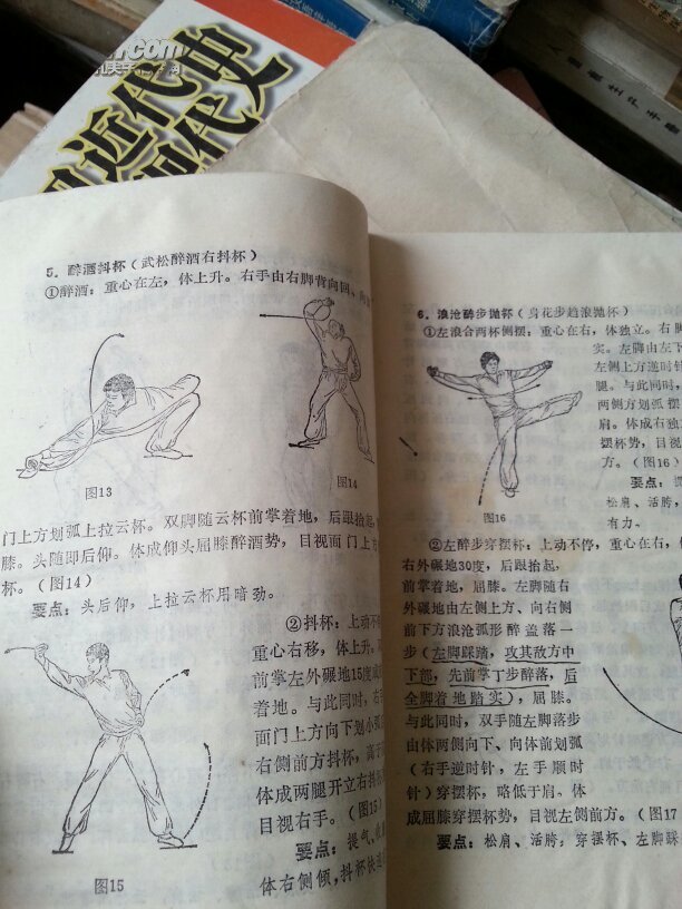 【图】象形武术丛书:醉拳_价格:20.00